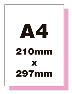 A4 2 part form